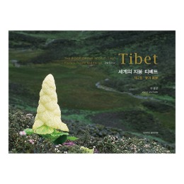 세계의 지붕 티베트(꽃과 풍물)